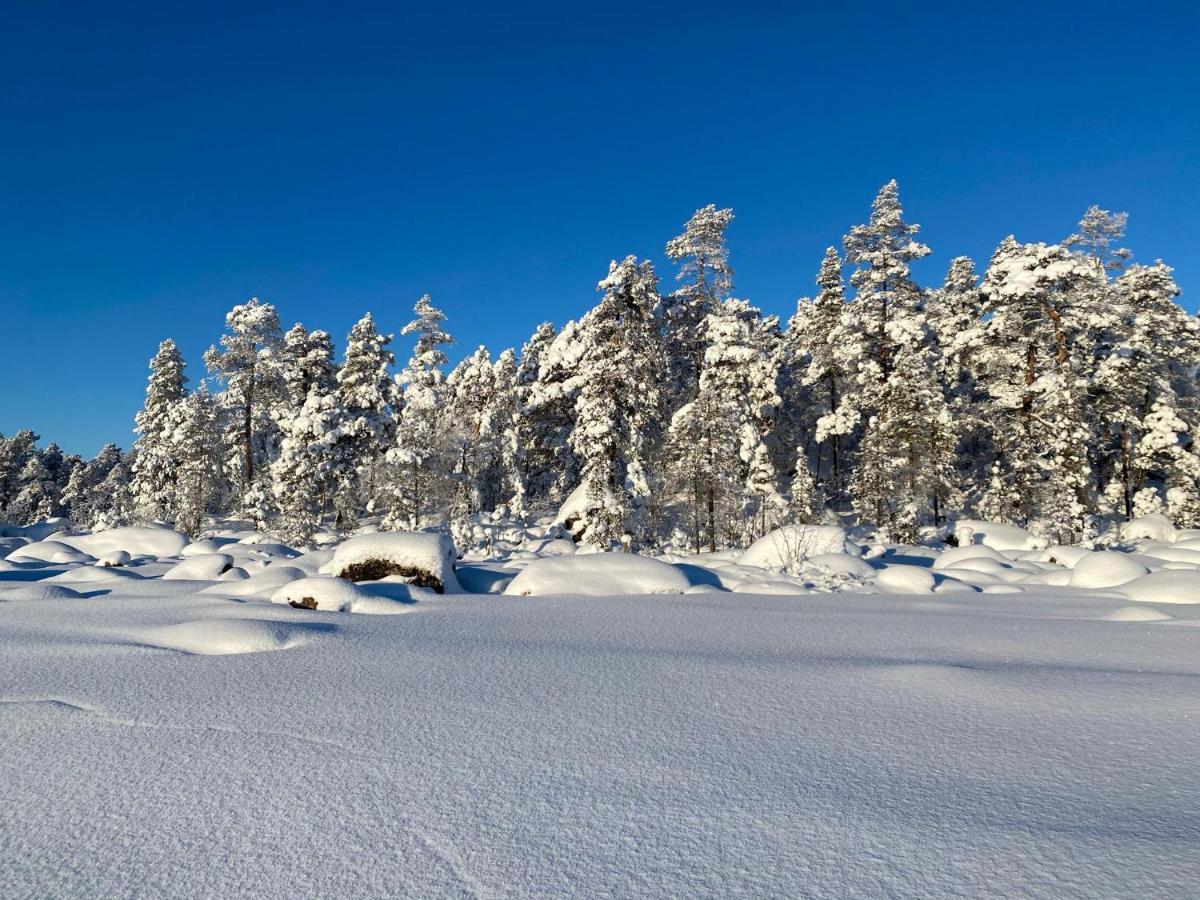 Norlight Cottages Ivalo - Tuli 외부 사진