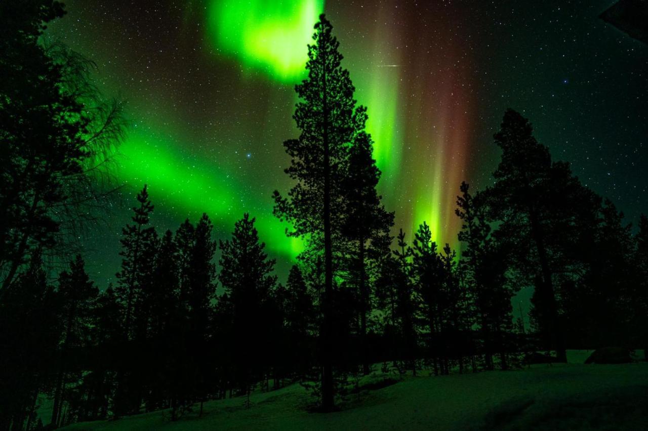 Norlight Cottages Ivalo - Tuli 외부 사진